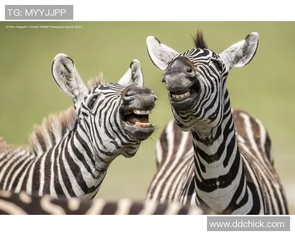 笑出腹肌的足球奇才阵容：那些让你捧腹的搞笑球星们